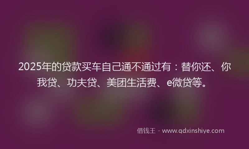 2025年的贷款买车自己通不通过有：替你还、你我贷、功夫贷、美团生活费、e微贷等。