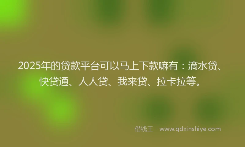 2025年的贷款平台可以马上下款嘛有：滴水贷、快贷通、人人贷、我来贷、拉卡拉等。