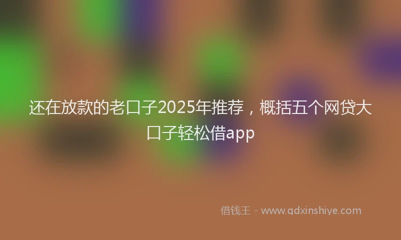 还在放款的老口子2025年推荐，概括五个网贷大口子轻松借app