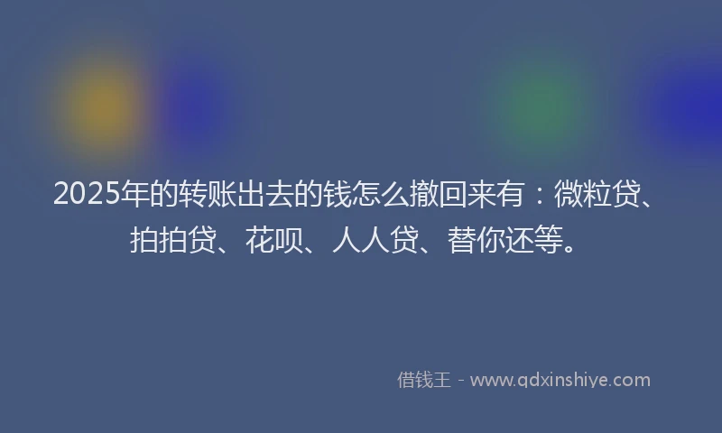 2025年的转账出去的钱怎么撤回来有：微粒贷、拍拍贷、花呗、人人贷、替你还等。
