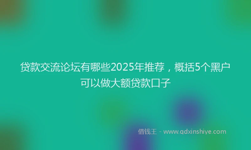 贷款交流论坛有哪些2025年推荐，概括5个黑户可以做大额贷款口子