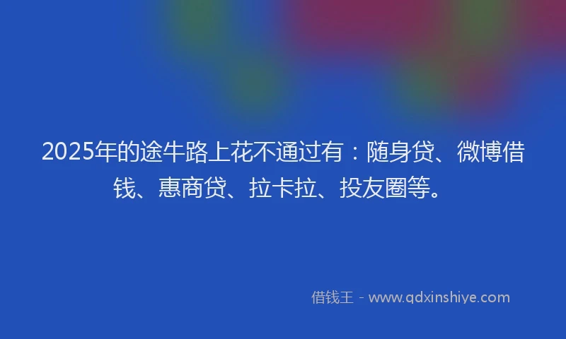 2025年的途牛路上花不通过有：随身贷、微博借钱、惠商贷、拉卡拉、投友圈等。