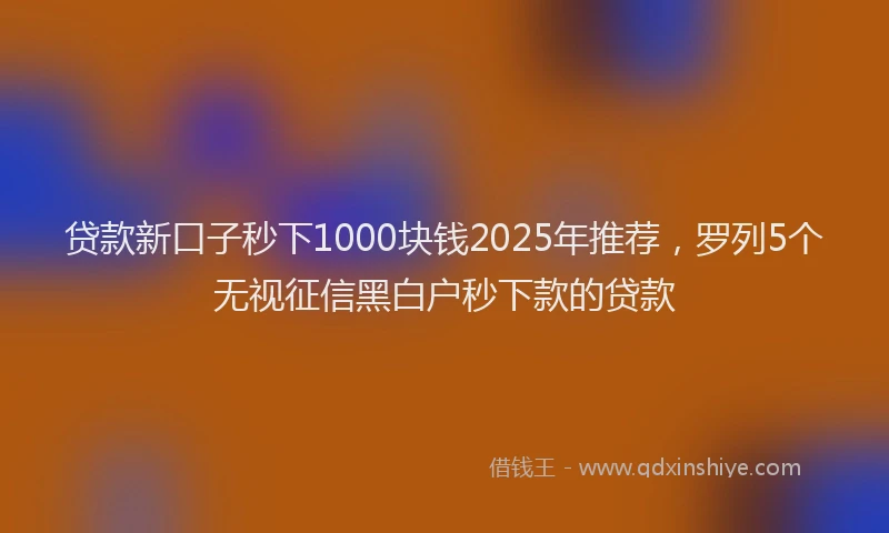 贷款新口子秒下1000块钱2025年推荐，罗列5个无视征信黑白户秒下款的贷款