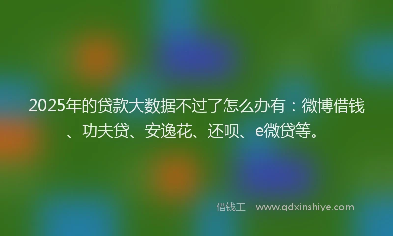 2025年的贷款大数据不过了怎么办有：微博借钱、功夫贷、安逸花、还呗、e微贷等。