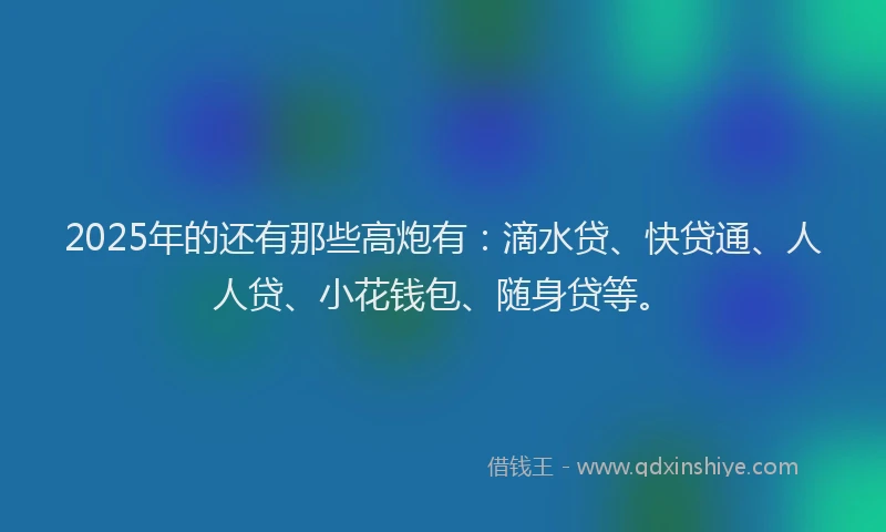2025年的还有那些高炮有：滴水贷、快贷通、人人贷、小花钱包、随身贷等。