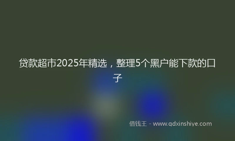 贷款超市2025年精选，整理5个黑户能下款的口子