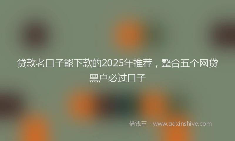 贷款老口子能下款的2025年推荐，整合五个网贷黑户必过口子