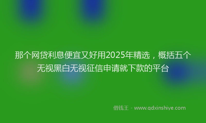 那个网贷利息便宜又好用2025年精选，概括五个无视黑白无视征信申请就下款的平台