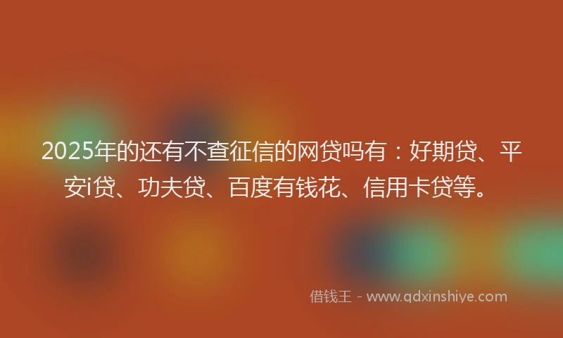 2025年的还有不查征信的网贷吗有：好期贷、平安i贷、功夫贷、百度有钱花、信用卡贷等。