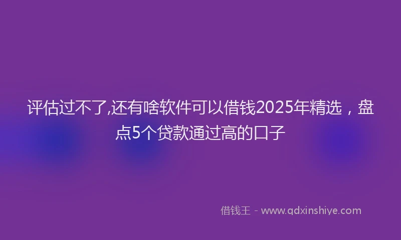 评估过不了,还有啥软件可以借钱2025年精选，盘点5个贷款通过高的口子