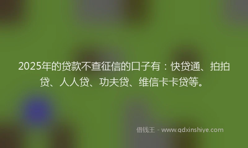 2025年的贷款不查征信的口子有：快贷通、拍拍贷、人人贷、功夫贷、维信卡卡贷等。