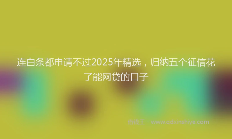 连白条都申请不过2025年精选，归纳五个征信花了能网贷的口子