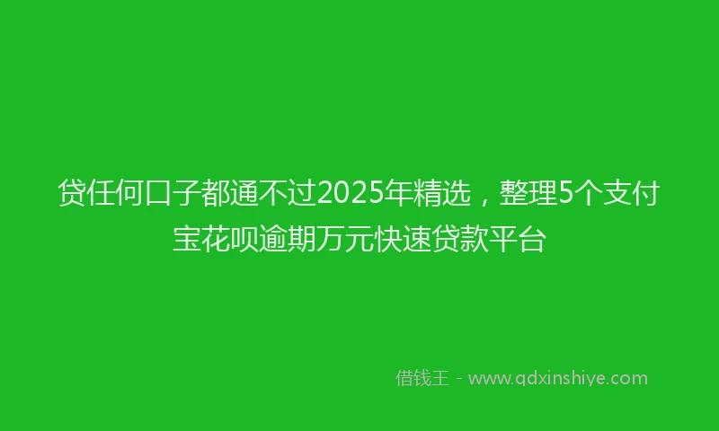 贷任何口子都通不过2025年精选，整理5个支付宝花呗逾期万元快速贷款平台