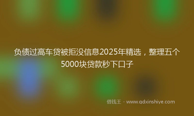 负债过高车贷被拒没信息2025年精选，整理五个5000块贷款秒下口子