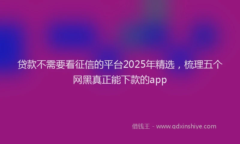 贷款不需要看征信的平台2025年精选，梳理五个网黑真正能下款的app
