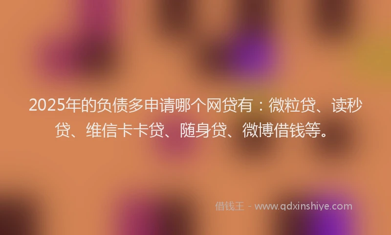 2025年的负债多申请哪个网贷有：微粒贷、读秒贷、维信卡卡贷、随身贷、微博借钱等。