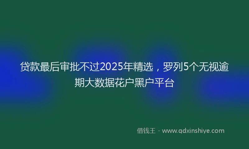贷款最后审批不过2025年精选，罗列5个无视逾期大数据花户黑户平台
