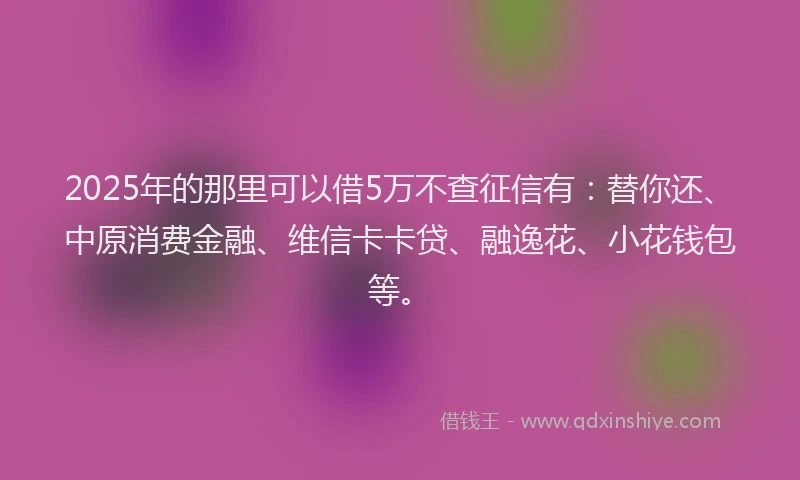2025年的那里可以借5万不查征信有：替你还、中原消费金融、维信卡卡贷、融逸花、小花钱包等。