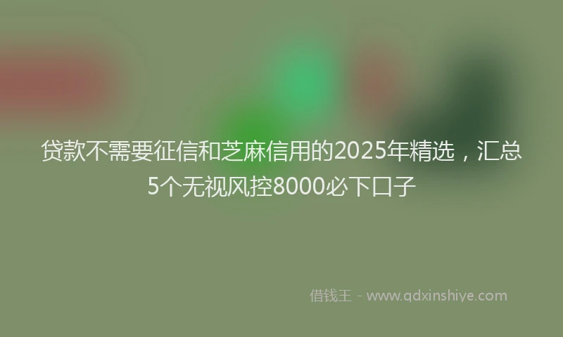 贷款不需要征信和芝麻信用的2025年精选，汇总5个无视风控8000必下口子