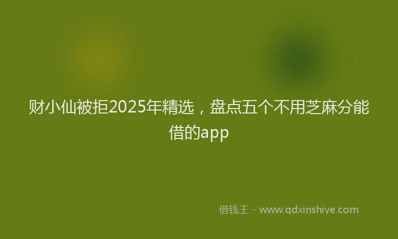 财小仙被拒2025年精选，盘点五个不用芝麻分能借的app