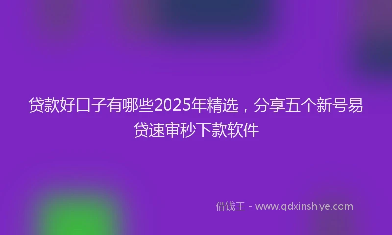 贷款好口子有哪些2025年精选，分享五个新号易贷速审秒下款软件