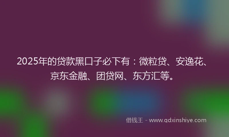2025年的贷款黑口子必下有：微粒贷、安逸花、京东金融、团贷网、东方汇等。