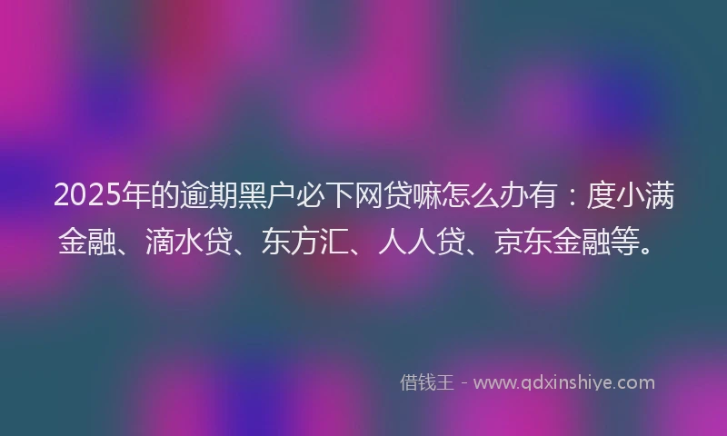 2025年的逾期黑户必下网贷嘛怎么办有：度小满金融、滴水贷、东方汇、人人贷、京东金融等。