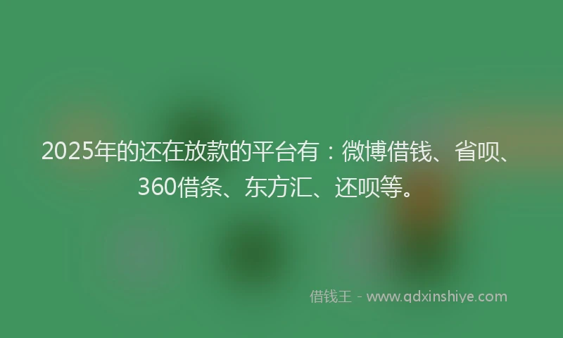 2025年的还在放款的平台有：微博借钱、省呗、360借条、东方汇、还呗等。