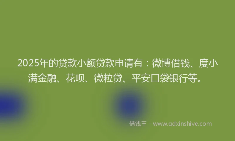 2025年的贷款小额贷款申请有：微博借钱、度小满金融、花呗、微粒贷、平安口袋银行等。