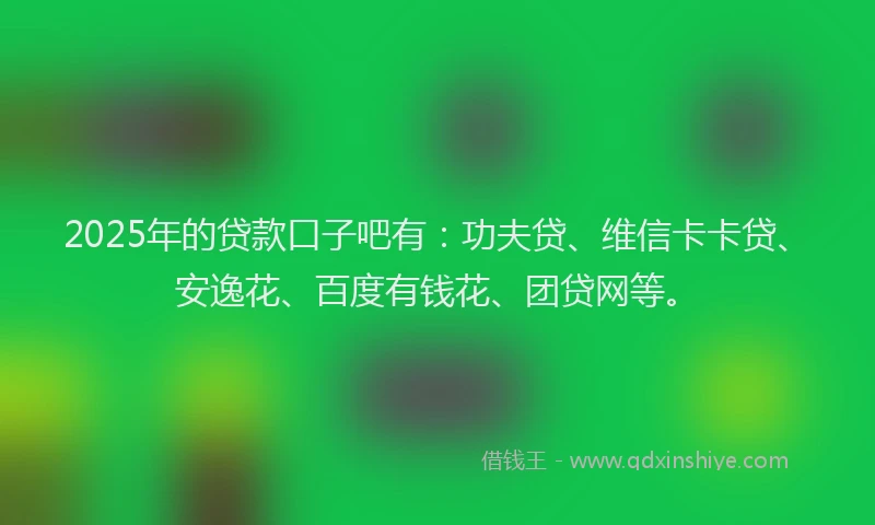 2025年的贷款口子吧有：功夫贷、维信卡卡贷、安逸花、百度有钱花、团贷网等。