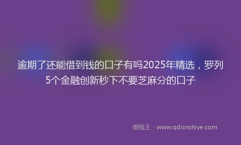逾期了还能借到钱的口子有吗2025年精选，罗列5个金融创新秒下不要芝麻分的口子