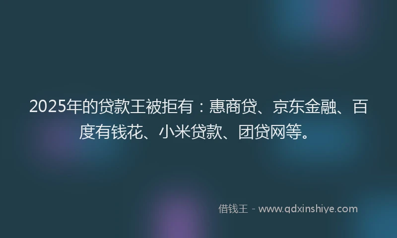 2025年的贷款王被拒有：惠商贷、京东金融、百度有钱花、小米贷款、团贷网等。