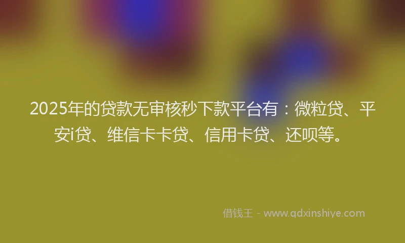 2025年的贷款无审核秒下款平台有：微粒贷、平安i贷、维信卡卡贷、信用卡贷、还呗等。