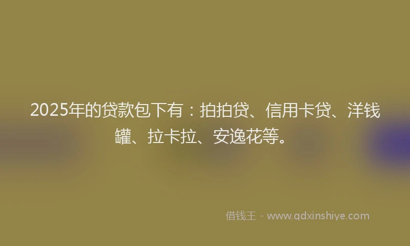 2025年的贷款包下有：拍拍贷、信用卡贷、洋钱罐、拉卡拉、安逸花等。