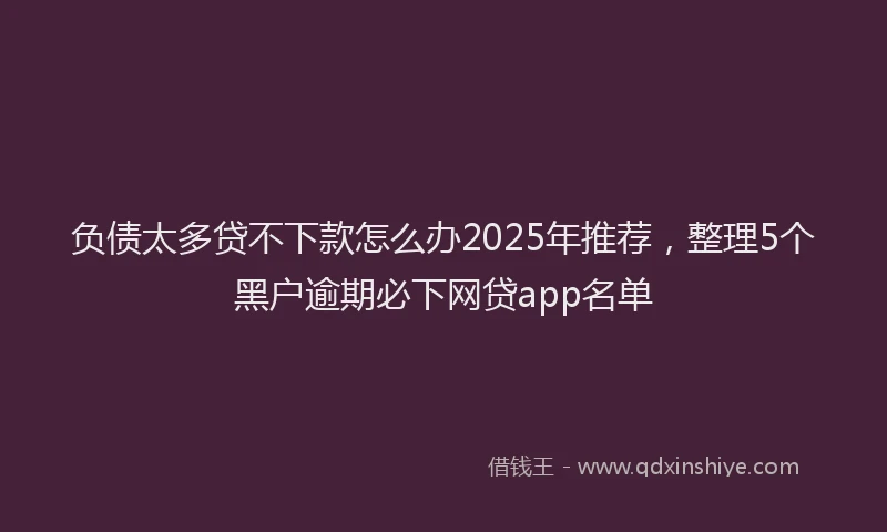 负债太多贷不下款怎么办2025年推荐，整理5个黑户逾期必下网贷app名单