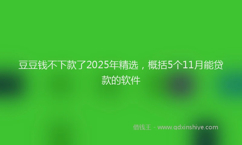 豆豆钱不下款了2025年精选，概括5个11月能贷款的软件