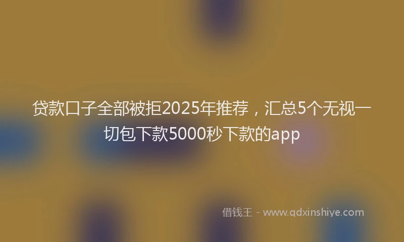 贷款口子全部被拒2025年推荐，汇总5个无视一切包下款5000秒下款的app