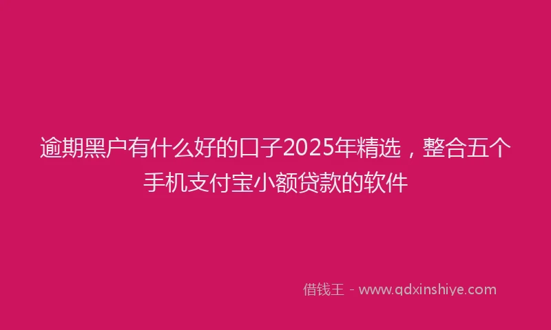 逾期黑户有什么好的口子2025年精选，整合五个手机支付宝小额贷款的软件