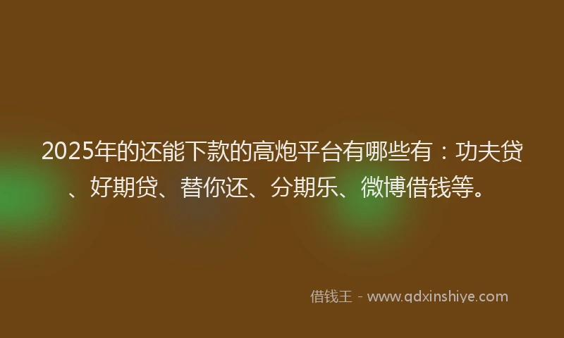 2025年的还能下款的高炮平台有哪些有：功夫贷、好期贷、替你还、分期乐、微博借钱等。
