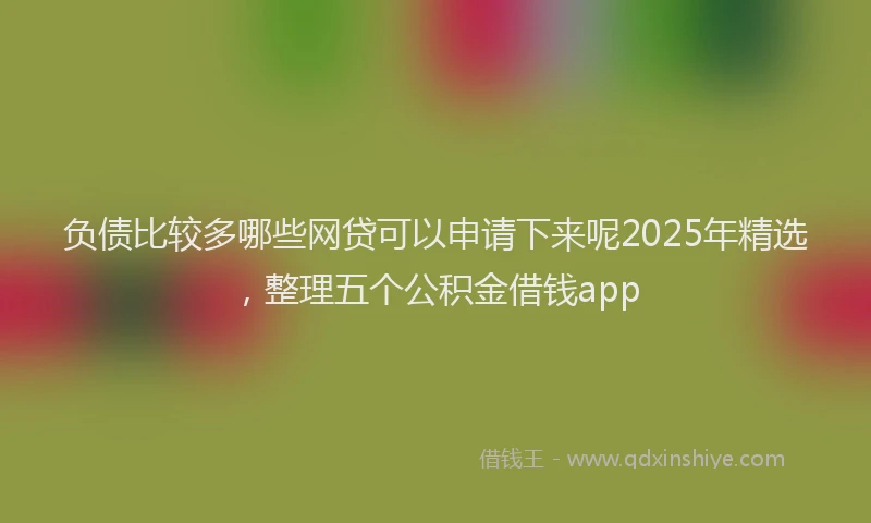 负债比较多哪些网贷可以申请下来呢2025年精选，整理五个公积金借钱app