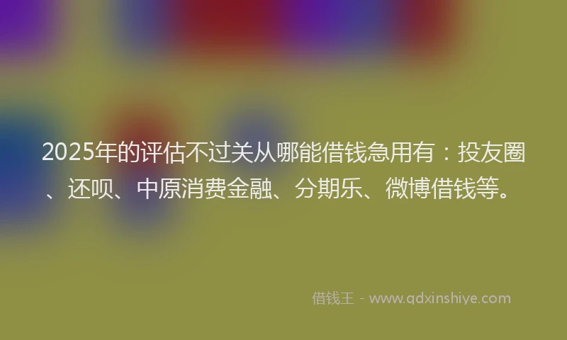 2025年的评估不过关从哪能借钱急用有：投友圈、还呗、中原消费金融、分期乐、微博借钱等。