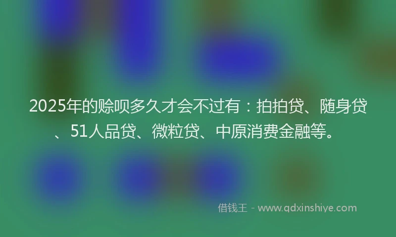 2025年的赊呗多久才会不过有：拍拍贷、随身贷、51人品贷、微粒贷、中原消费金融等。