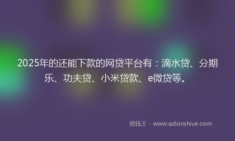 2025年的还能下款的网贷平台有：滴水贷、分期乐、功夫贷、小米贷款、e微贷等。