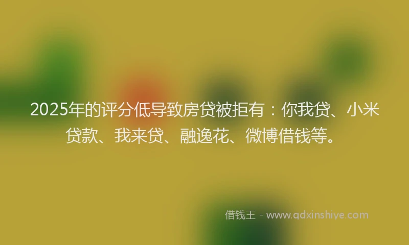2025年的评分低导致房贷被拒有:你我贷、小米贷款、我来贷、融逸花、微博借钱等。