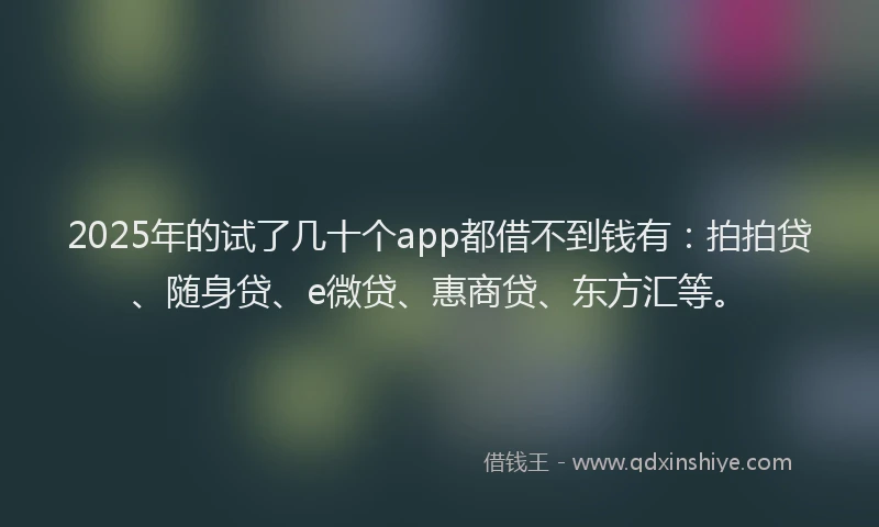 2025年的试了几十个app都借不到钱有：拍拍贷、随身贷、e微贷、惠商贷、东方汇等。