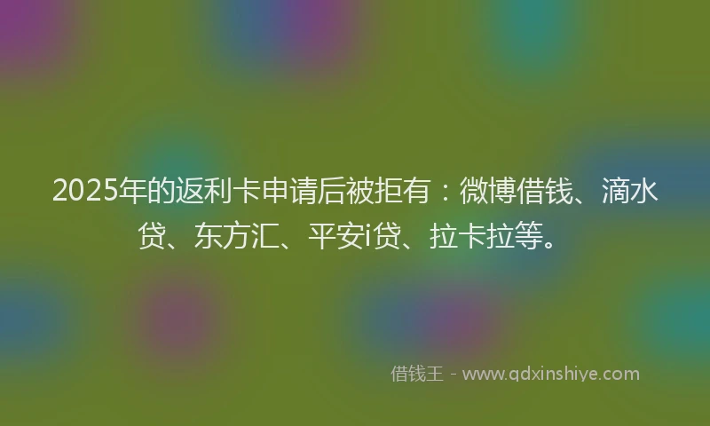 2025年的返利卡申请后被拒有：微博借钱、滴水贷、东方汇、平安i贷、拉卡拉等。