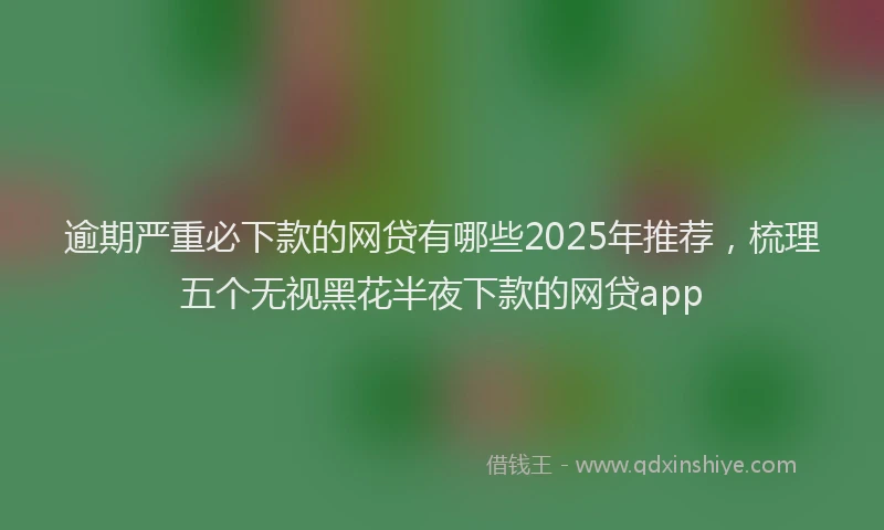 逾期严重必下款的网贷有哪些2025年推荐，梳理五个无视黑花半夜下款的网贷app