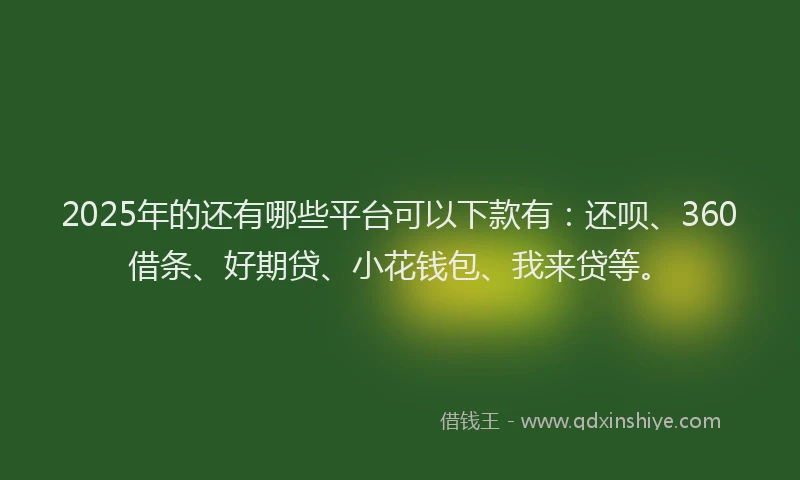 2025年的还有哪些平台可以下款有：还呗、360借条、好期贷、小花钱包、我来贷等。