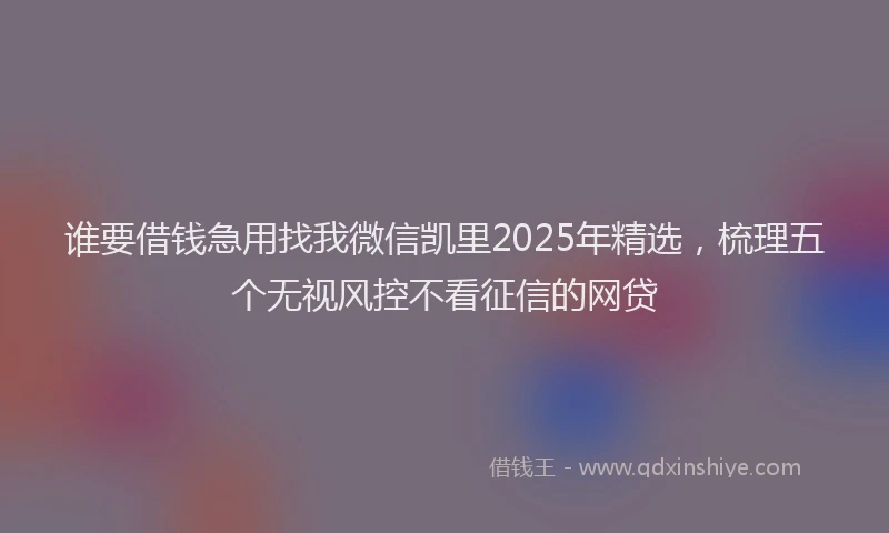 谁要借钱急用找我微信凯里2025年精选，梳理五个无视风控不看征信的网贷