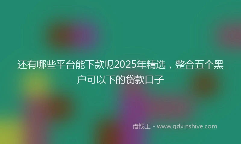 还有哪些平台能下款呢2025年精选，整合五个黑户可以下的贷款口子